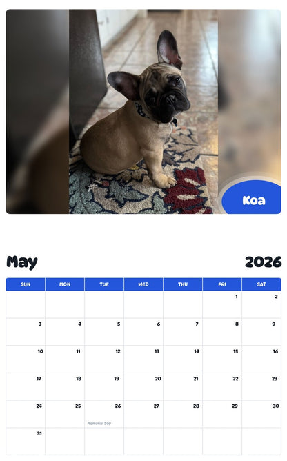 2026 - 2027 Koa - Pawidols Pet Calendar