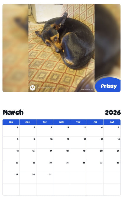 November 2025 - October 2026 Prissy - Pawidols Pet Calendar