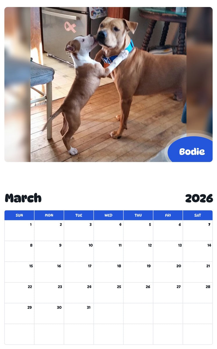 November 2025 - October 2026 Bodie - Pawidols Pet Calendar