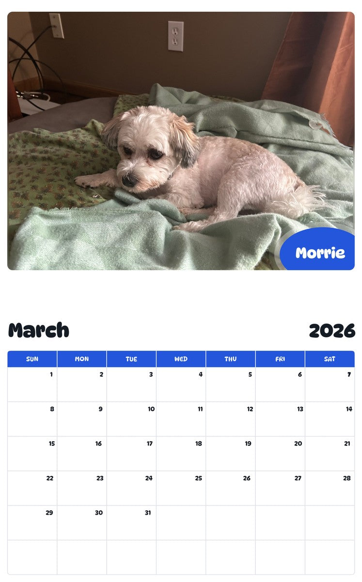 November 2025 - October 2026 Morrie - Pawidols Pet Calendar