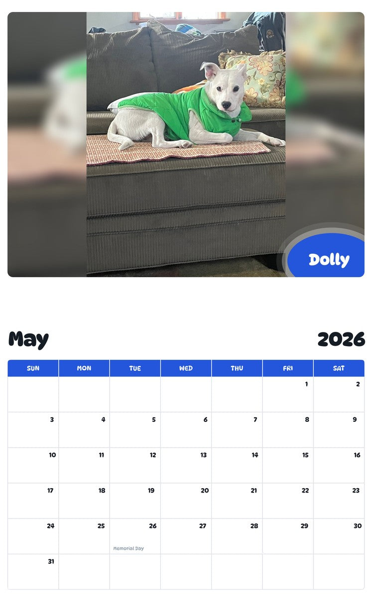 2026 - 2027 Dolly - Pawidols Pet Calendar