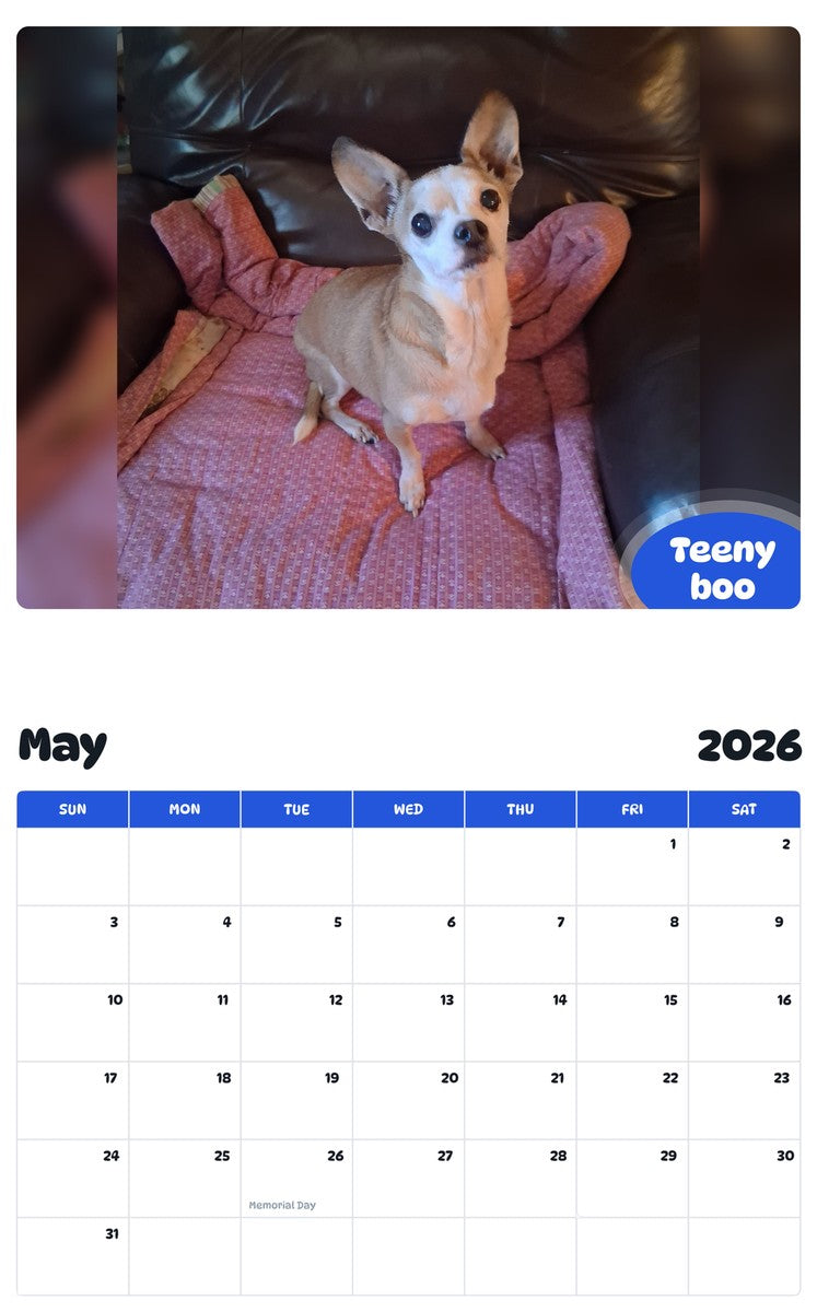 2026 - 2027 Teeny boo - Pawidols Pet Calendar