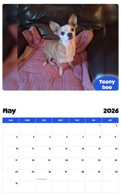 2026 - 2027 Teeny boo - Pawidols Pet Calendar