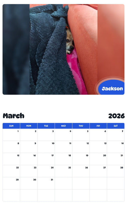 November 2025 - October 2026 Jackson - Pawidols Pet Calendar