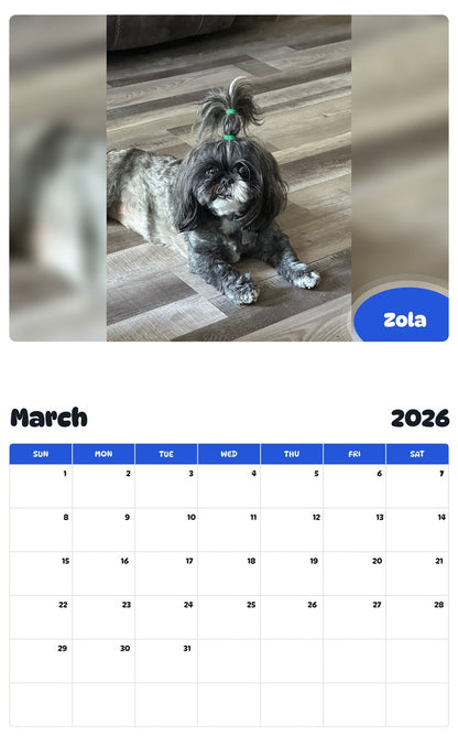 November 2025 - October 2026 Zola - Pawidols Pet Calendar