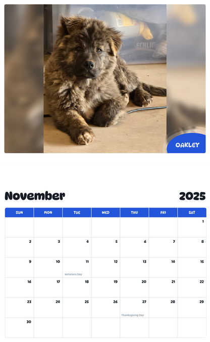 July 2025 - June 2026 Oakley - Pawidols Pet Calendar