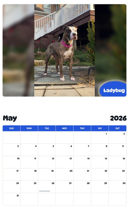 2026 - 2027 Ladybug - Pawidols Pet Calendar