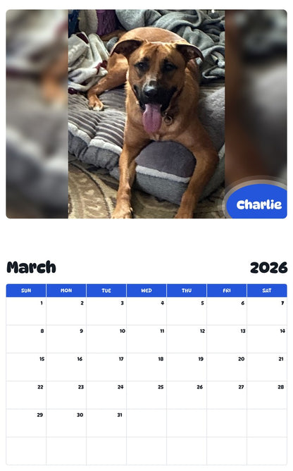 November 2025 - October 2026 Charlie - Pawidols Pet Calendar