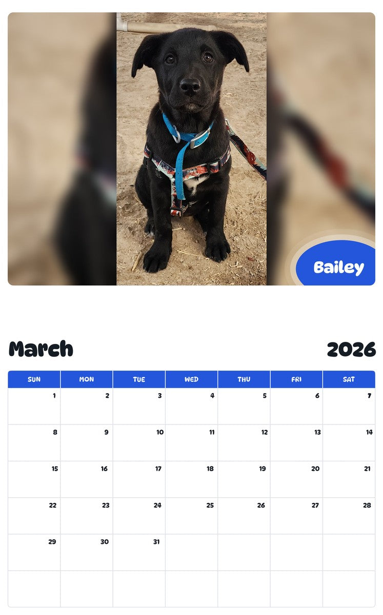 November 2025 - October 2026 Bailey - Pawidols Pet Calendar