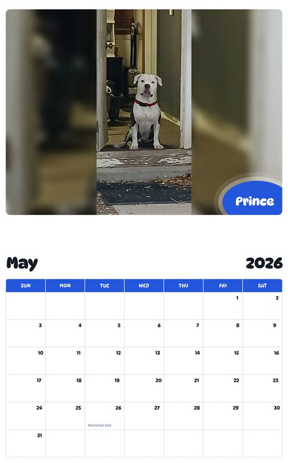 2026 - 2027 Prince - Pawidols Pet Calendar