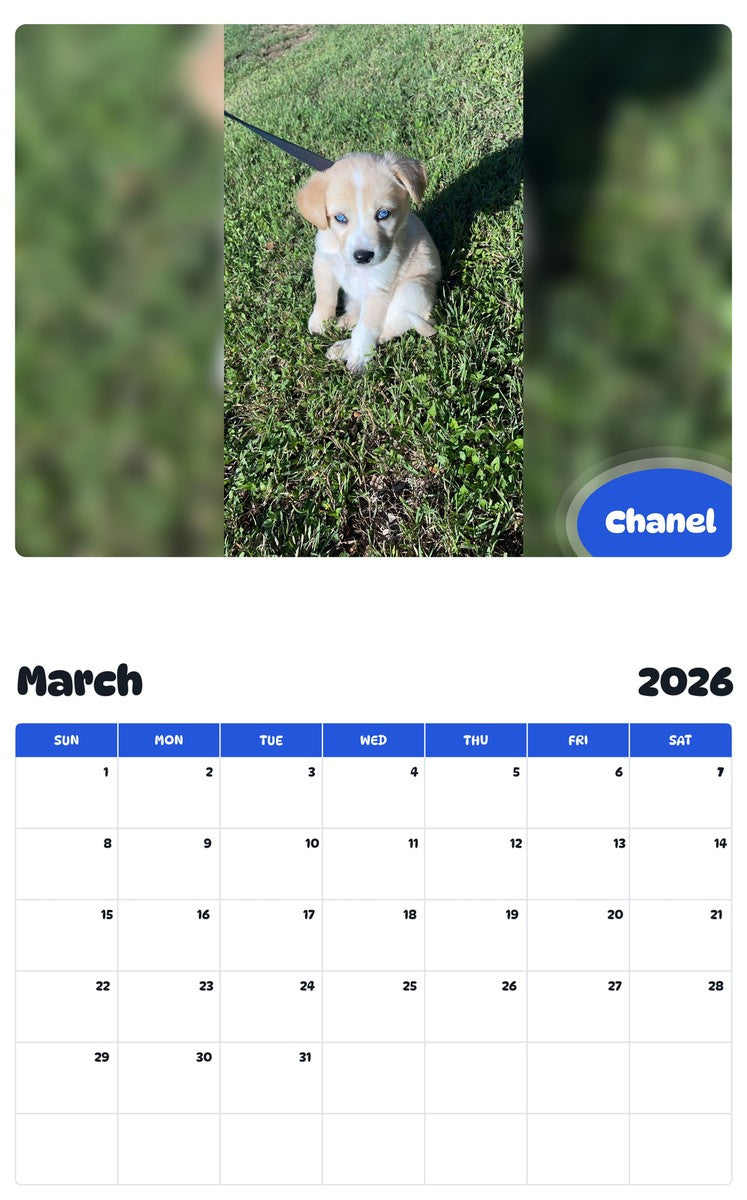 November 2025 - October 2026 Chanel - Pawidols Pet Calendar