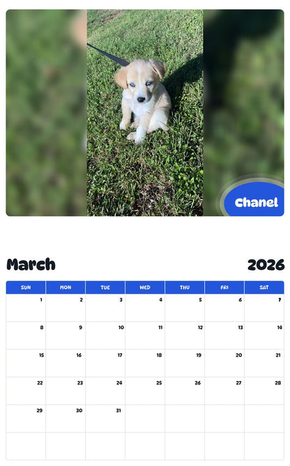 November 2025 - October 2026 Chanel - Pawidols Pet Calendar