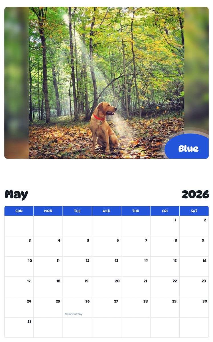 2026 - 2027 Blue - Pawidols Pet Calendar