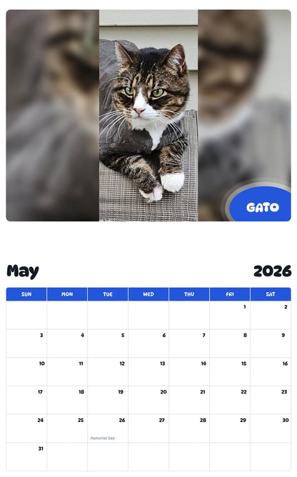 2026 - 2027 GATO - Pawidols Pet Calendar