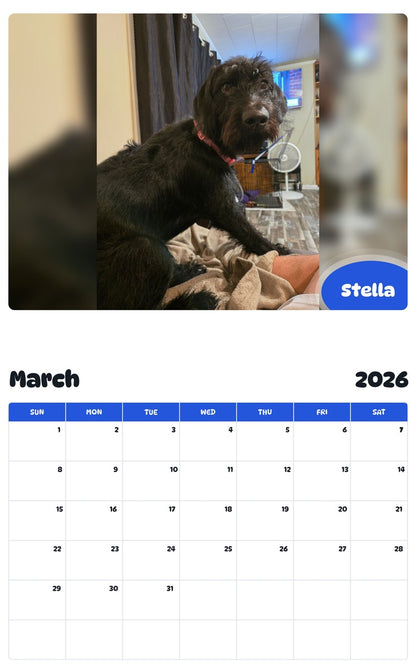 November 2025 - October 2026 Stella - Pawidols Pet Calendar