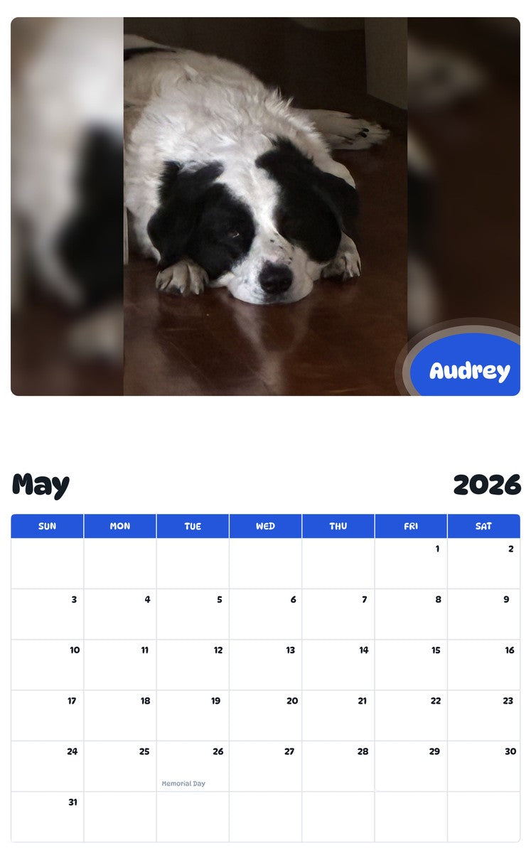 2026 - 2027 Audrey - Pawidols Pet Calendar