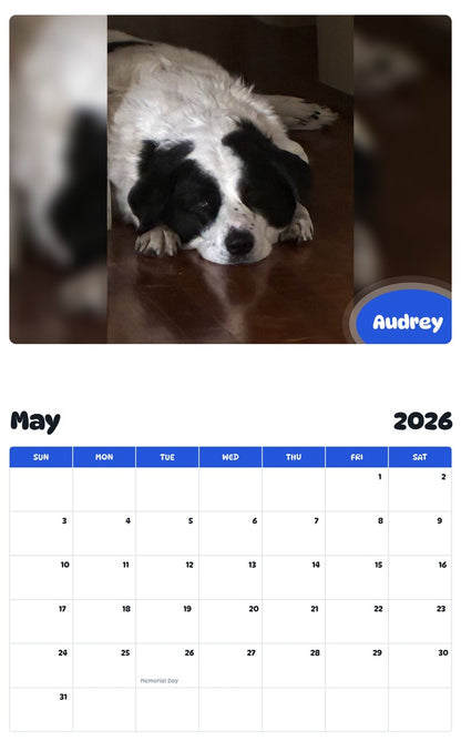 2026 - 2027 Audrey - Pawidols Pet Calendar