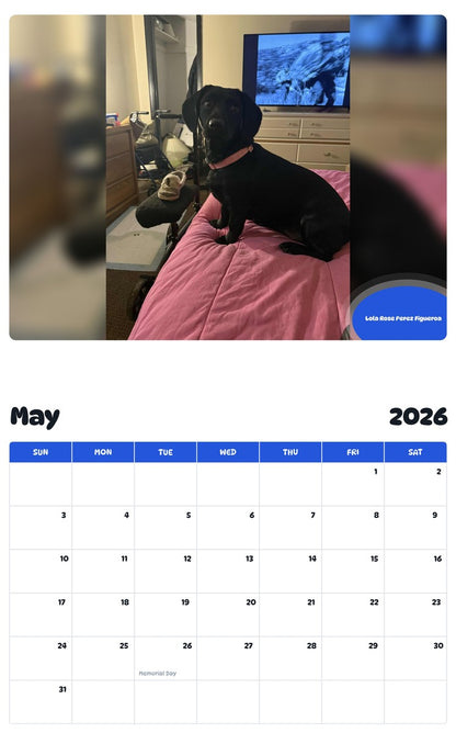 2026 - 2027 Lola Rose Perez Figueroa - Pawidols Pet Calendar
