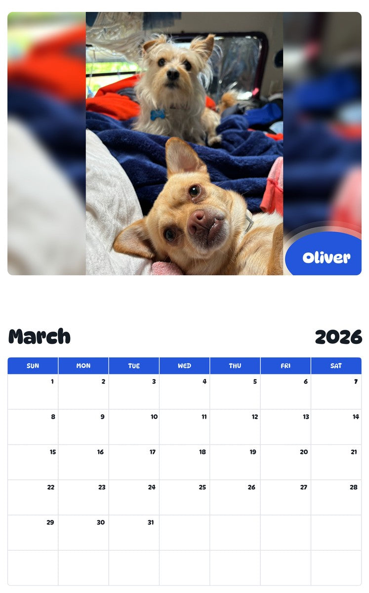 November 2025 - October 2026 Oliver - Pawidols Pet Calendar