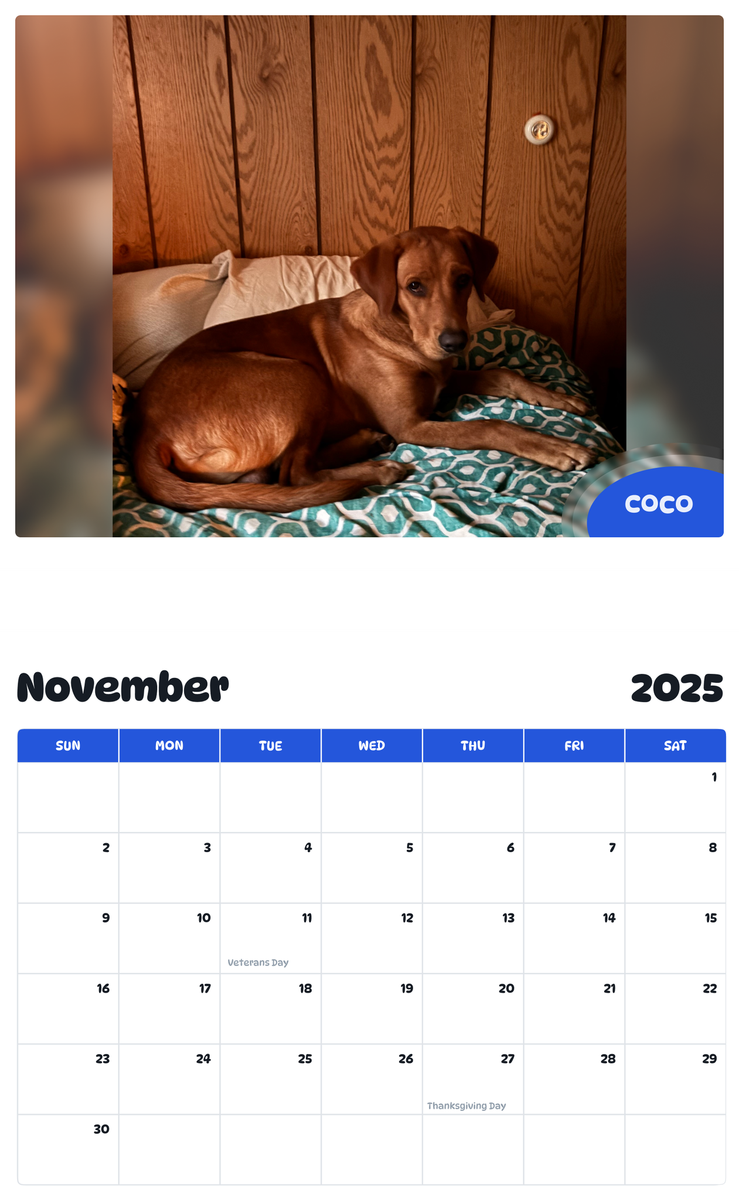 July 2025 - June 2026 Coco - Pawidols Pet Calendar