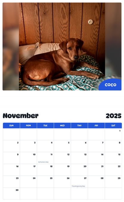 July 2025 - June 2026 Coco - Pawidols Pet Calendar