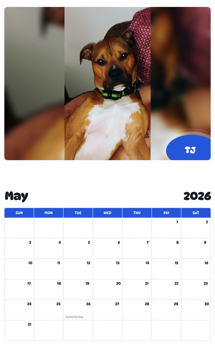 2026 - 2027 TJ - Pawidols Pet Calendar