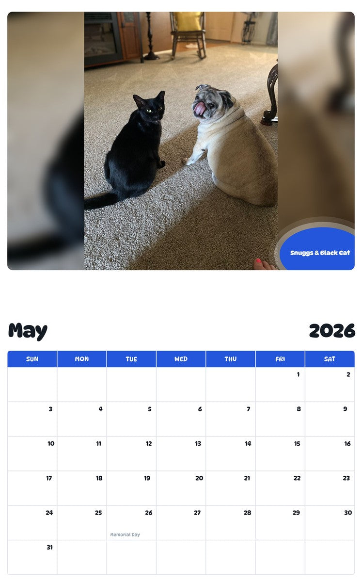 2026 - 2027 Snuggs & Black Cat - Pawidols Pet Calendar