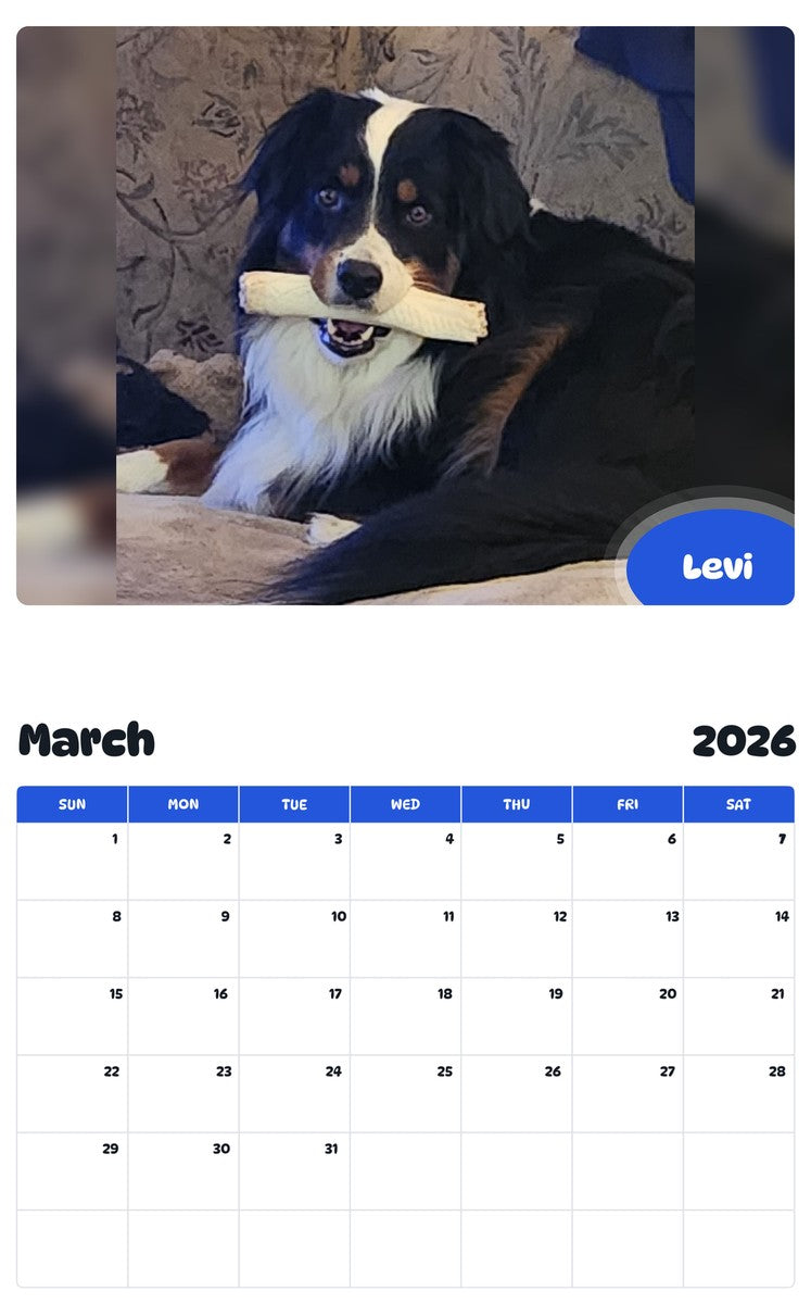 November 2025 - October 2026 Levi - Pawidols Pet Calendar
