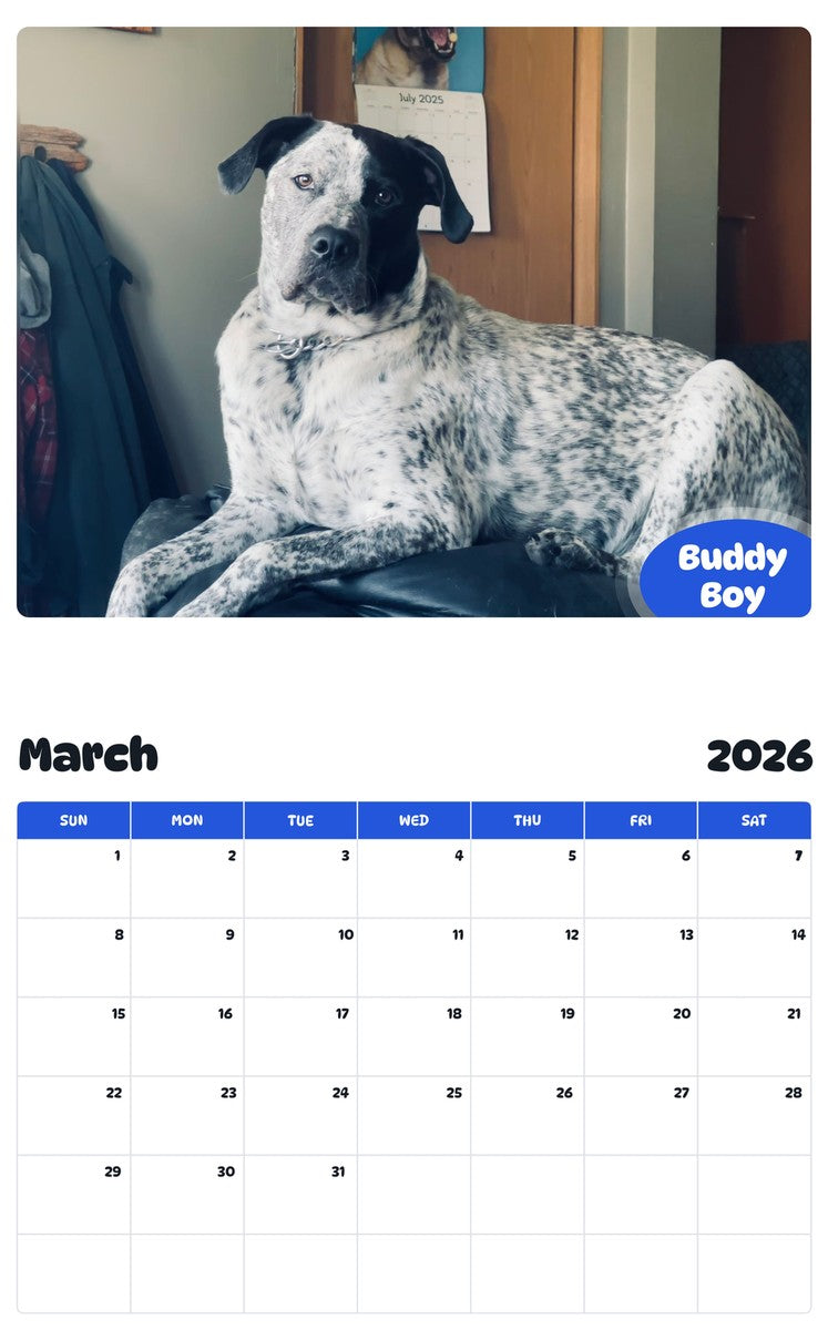 November 2025 - October 2026 Buddy Boy - Pawidols Pet Calendar