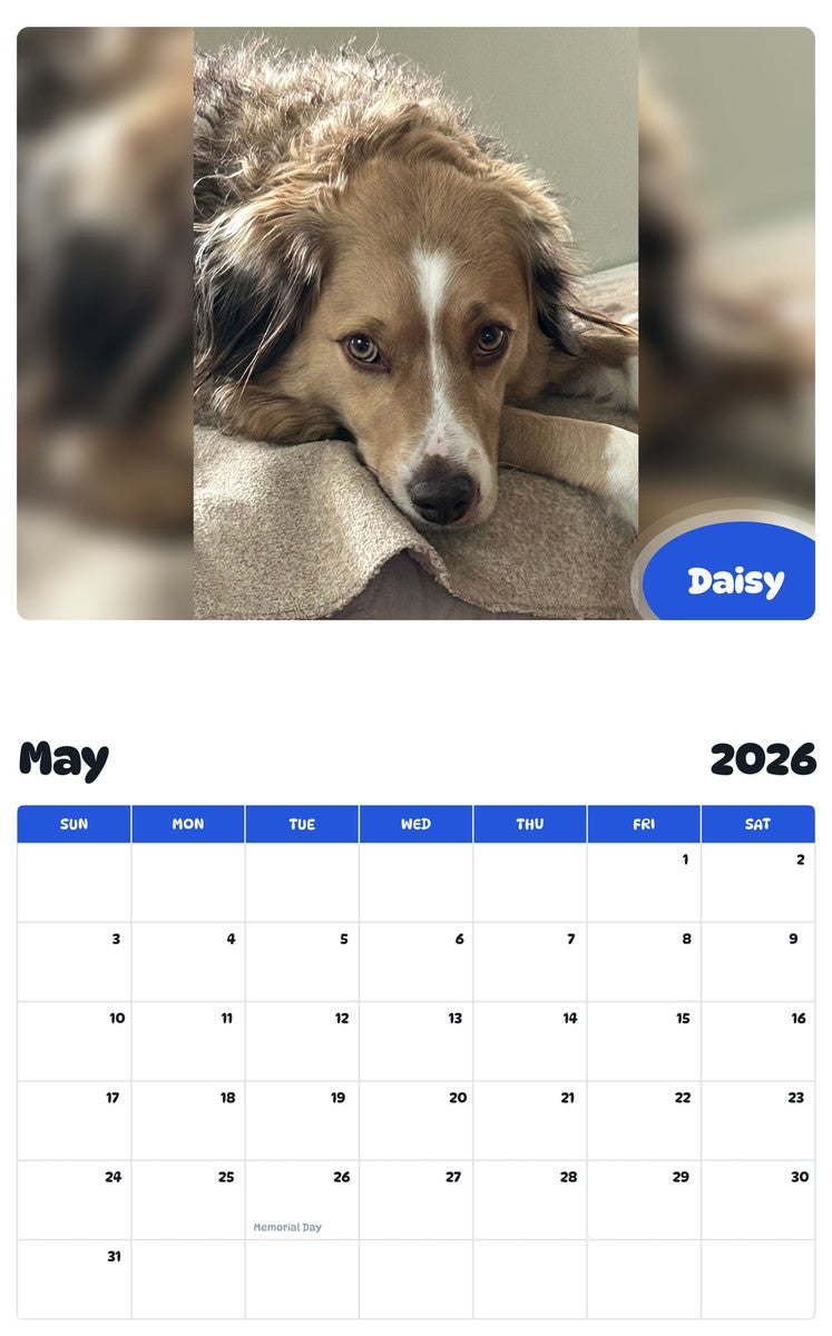 2026 - 2027 Daisy - Pawidols Pet Calendar