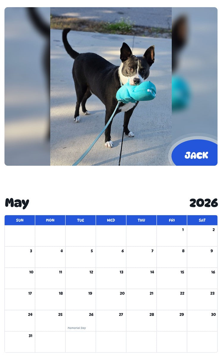 2026 - 2027 JACK - Pawidols Pet Calendar