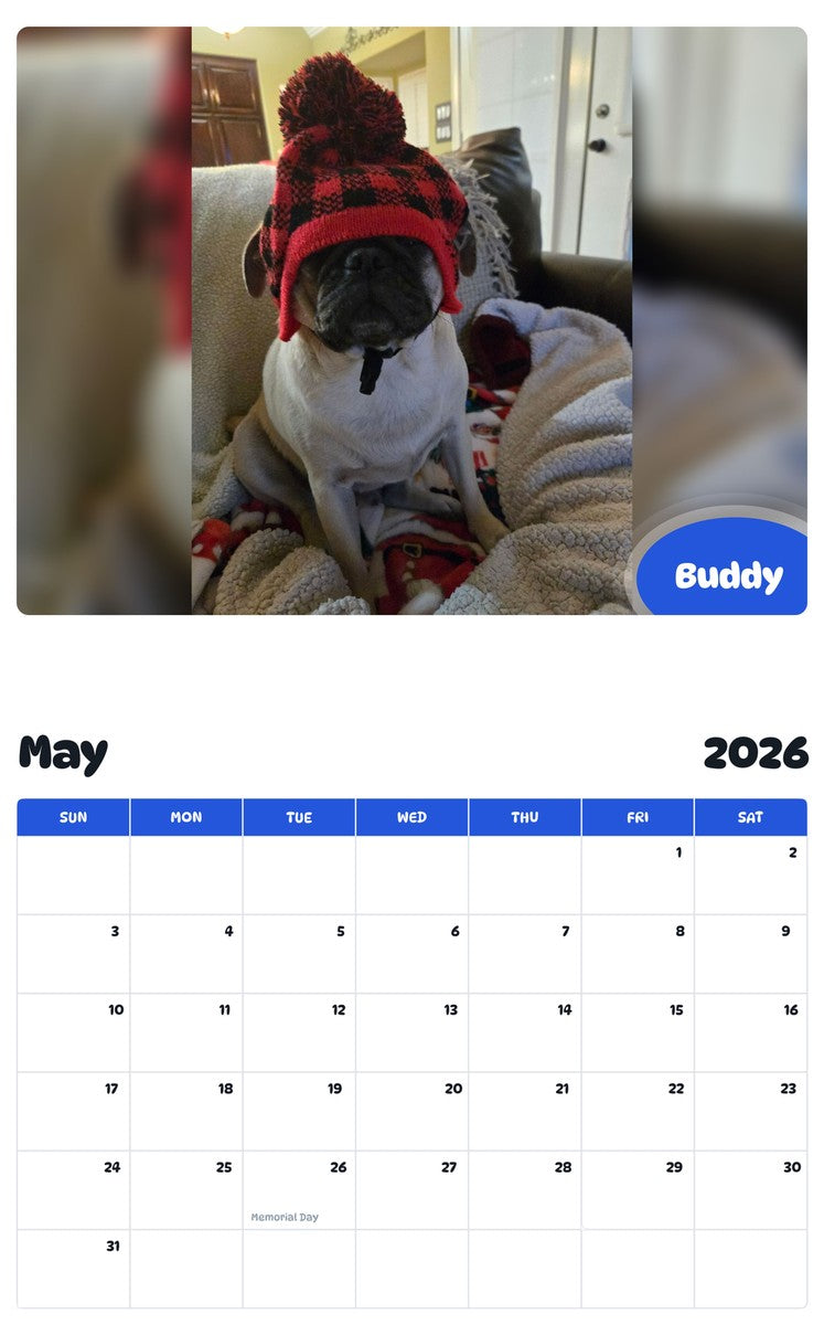 2026 - 2027 Buddy - Pawidols Pet Calendar