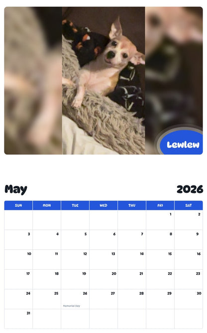 2026 - 2027 Lewlew - Pawidols Pet Calendar
