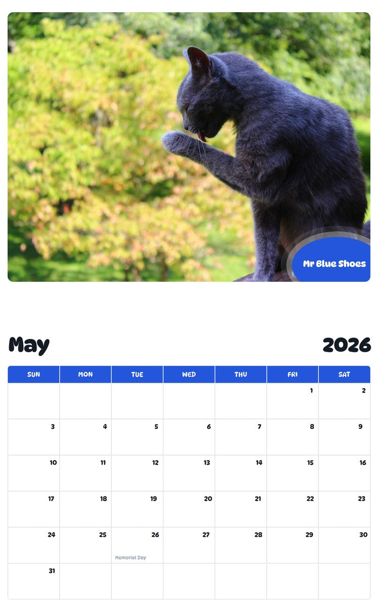 2026 - 2027 Mr Blue Shoes - Pawidols Pet Calendar