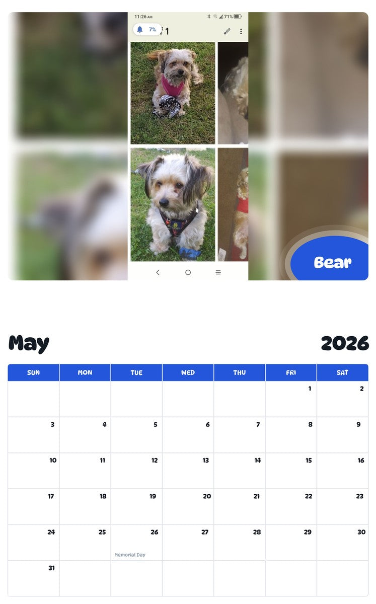 2026 - 2027 Bear - Pawidols Pet Calendar