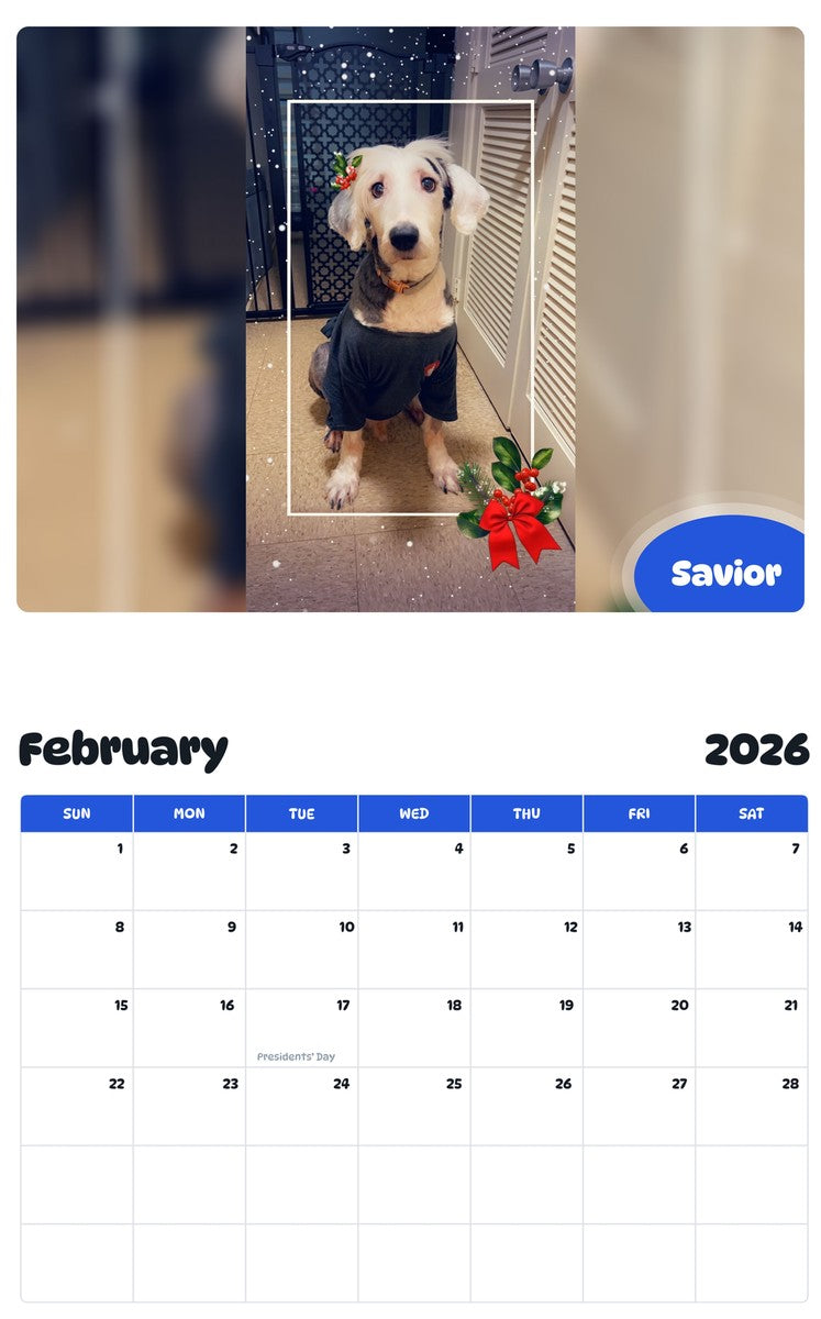 October 2025 - September 2026 Savior - Pawidols Pet Calendar