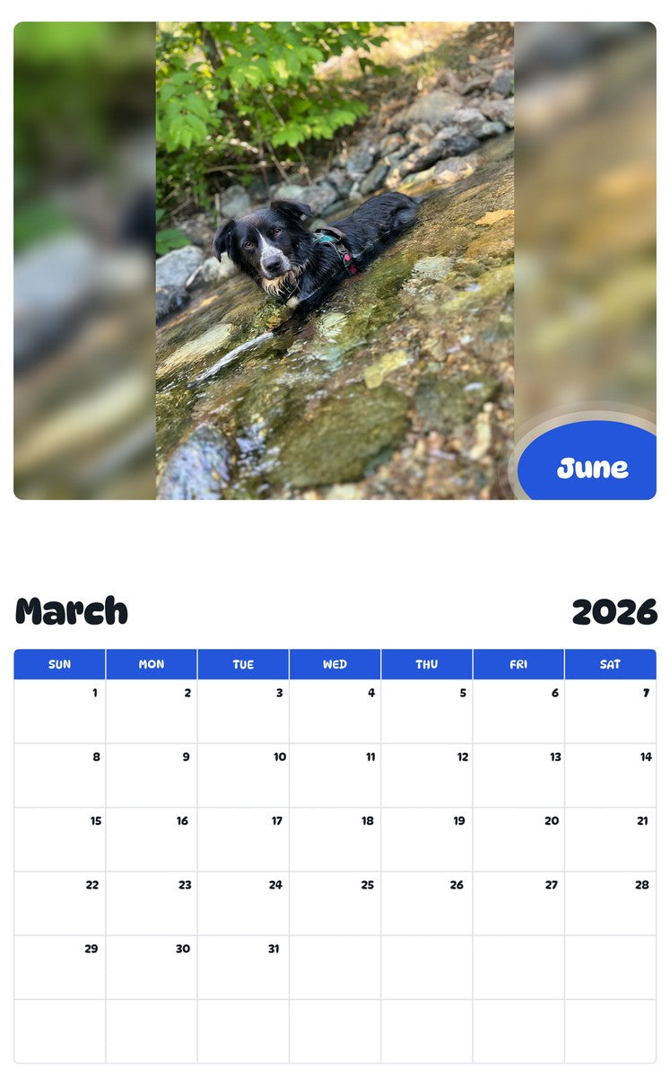 November 2025 - October 2026 June - Pawidols Pet Calendar