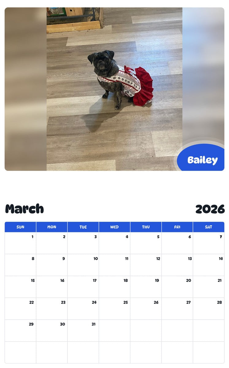 November 2025 - October 2026 Bailey - Pawidols Pet Calendar