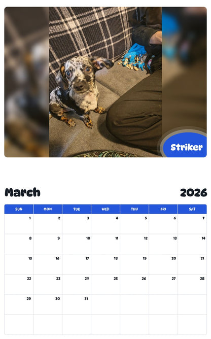 November 2025 - October 2026 Striker - Pawidols Pet Calendar
