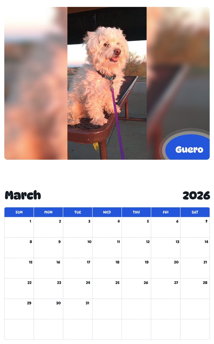 November 2025 - October 2026 Guero - Pawidols Pet Calendar