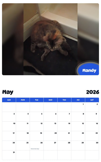 2026 - 2027 Mandy - Pawidols Pet Calendar