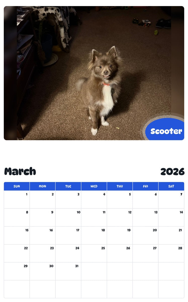 November 2025 - October 2026 Scooter - Pawidols Pet Calendar