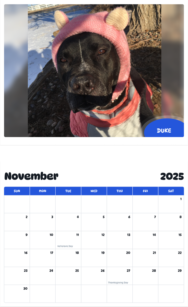 July 2025 - June 2026 Duke - Pawidols Pet Calendar