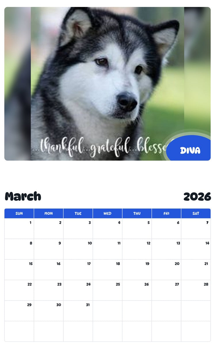 November 2025 - October 2026 DIVA - Pawidols Pet Calendar