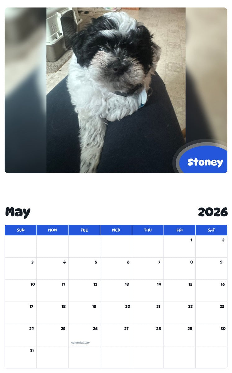 2026 - 2027 Stoney - Pawidols Pet Calendar
