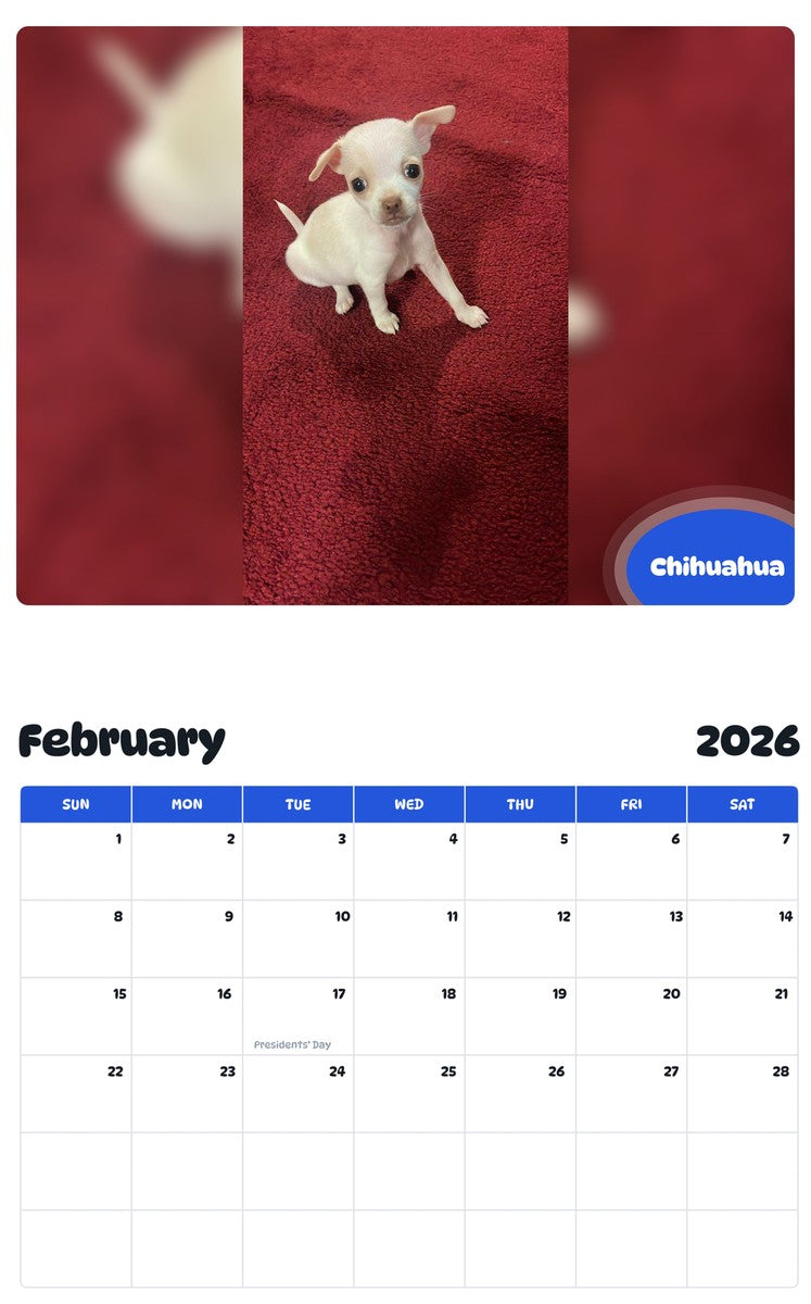 October 2025 - September 2026 Chihuahua - Pawidols Pet Calendar