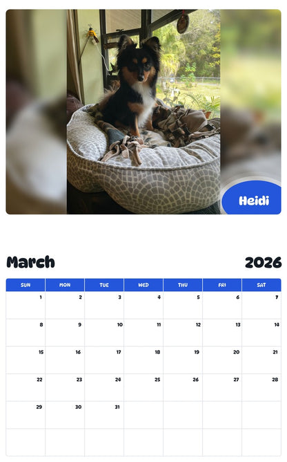 November 2025 - October 2026 Heidi - Pawidols Pet Calendar