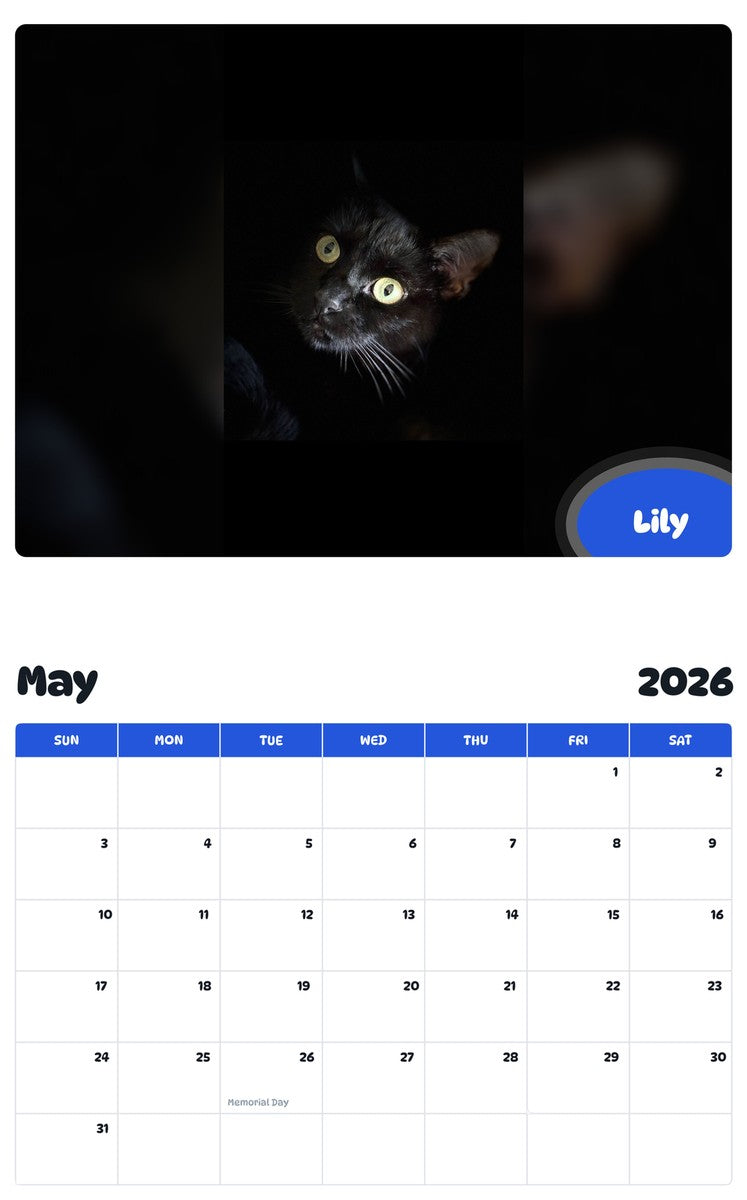 2026 - 2027 Lily - Pawidols Pet Calendar