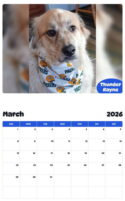 November 2025 - October 2026 Thunder Rayne - Pawidols Pet Calendar