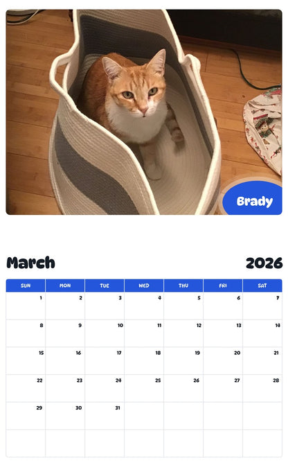 November 2025 - October 2026 Brady - Pawidols Pet Calendar